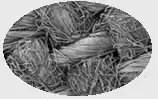 Microscope view