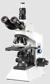 Microscope